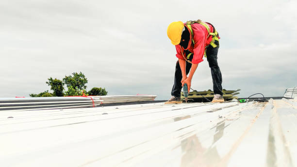 Best Flat Roofing  in Borger, TX